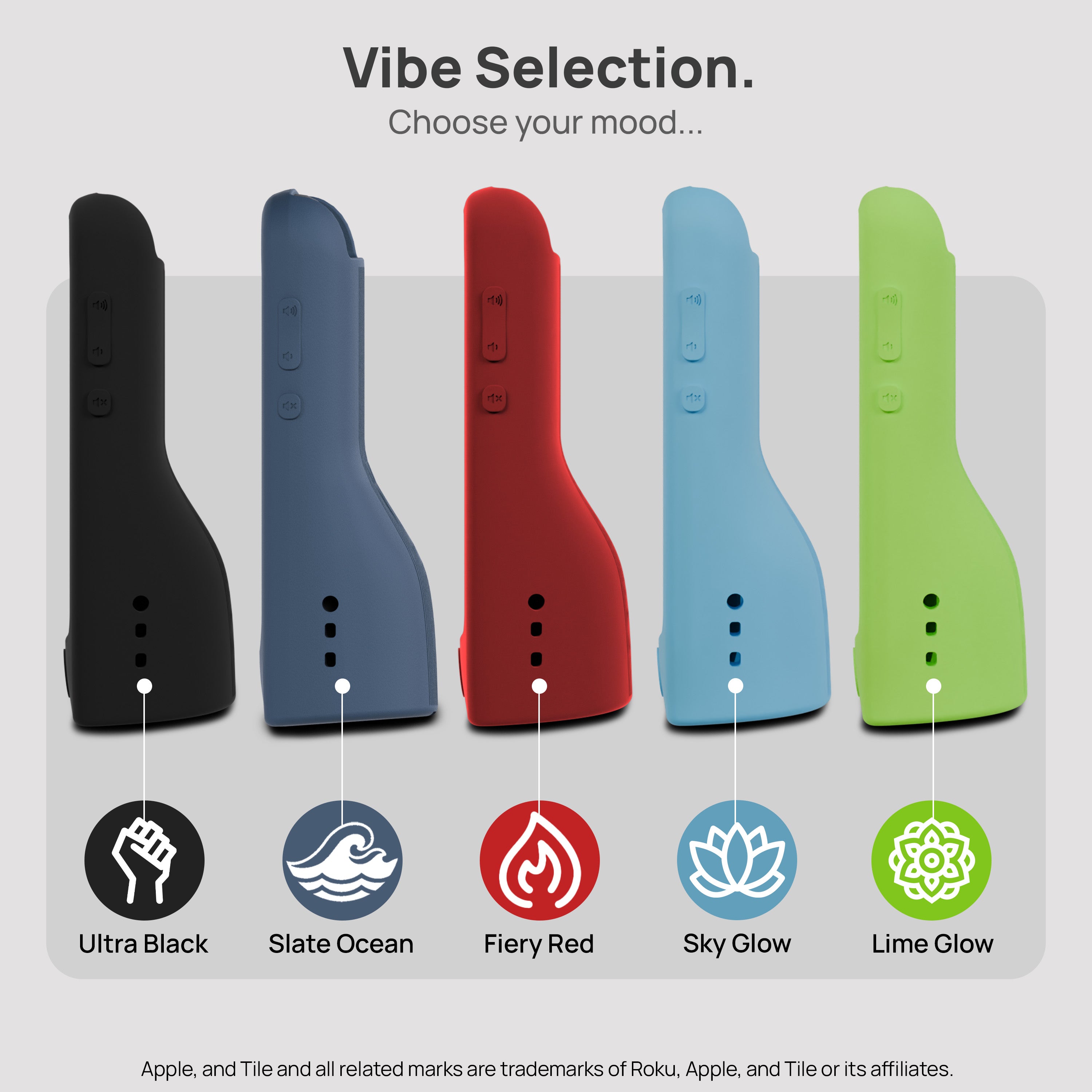 StandShield™ Roku Voice Remote Case