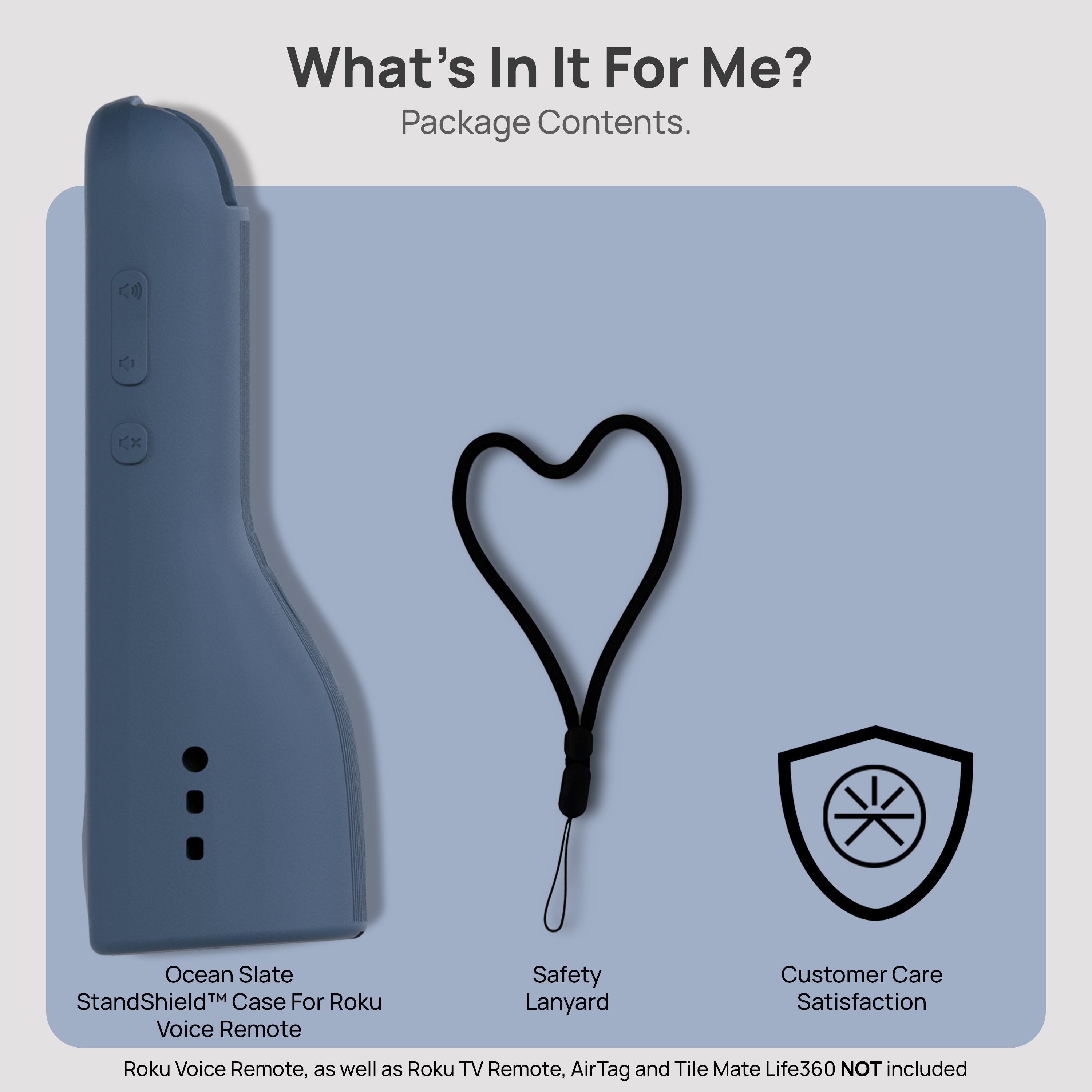 StandShield™ Roku Voice Remote Case