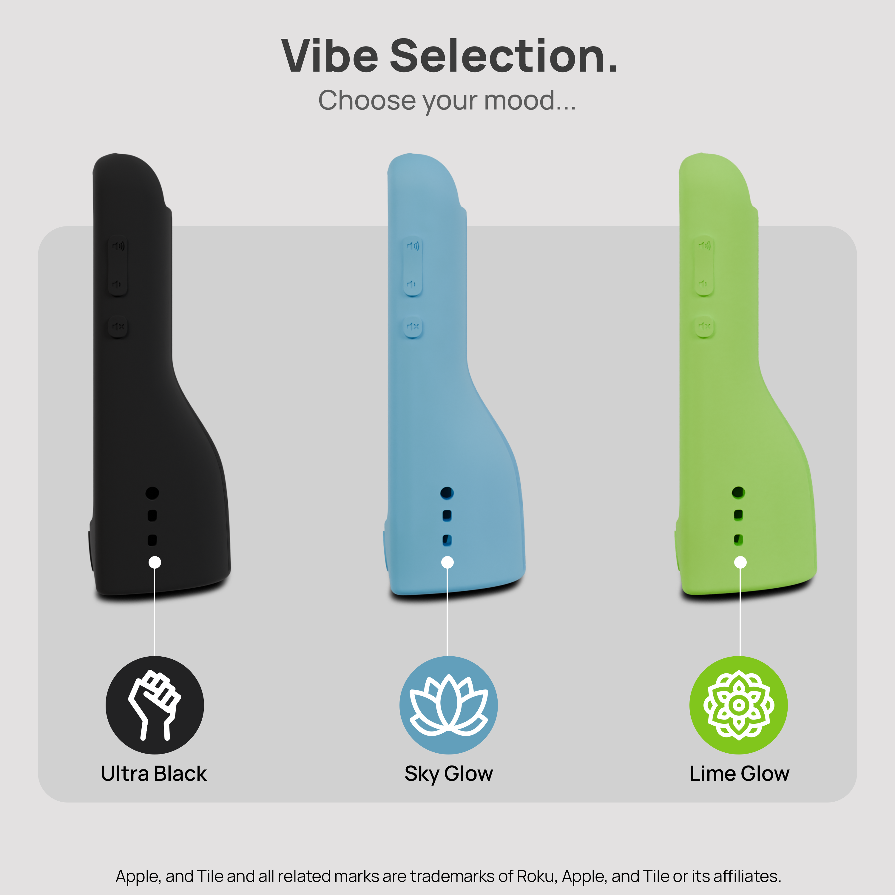 StandShield™ Roku Voice Remote Case
